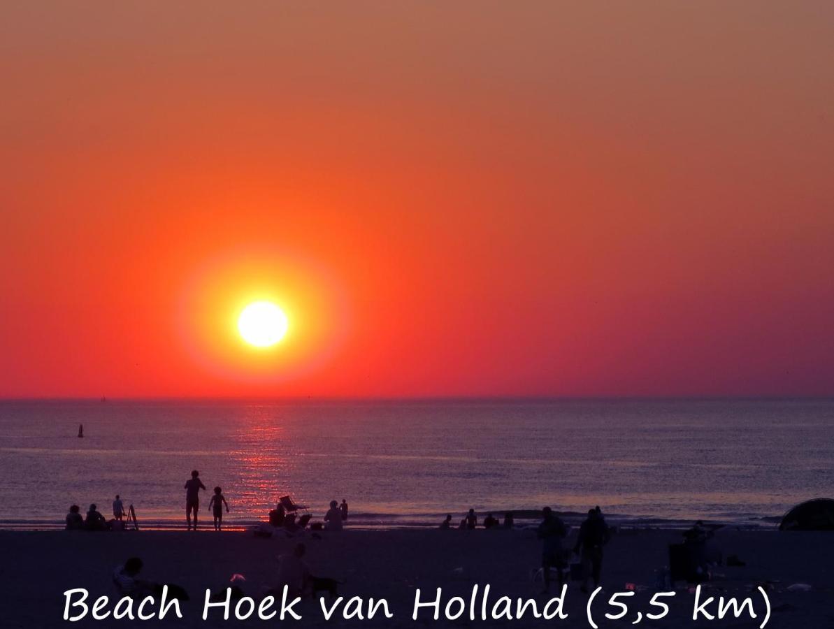 Dutchduochalet37 's-Gravenzande Bagian luar foto